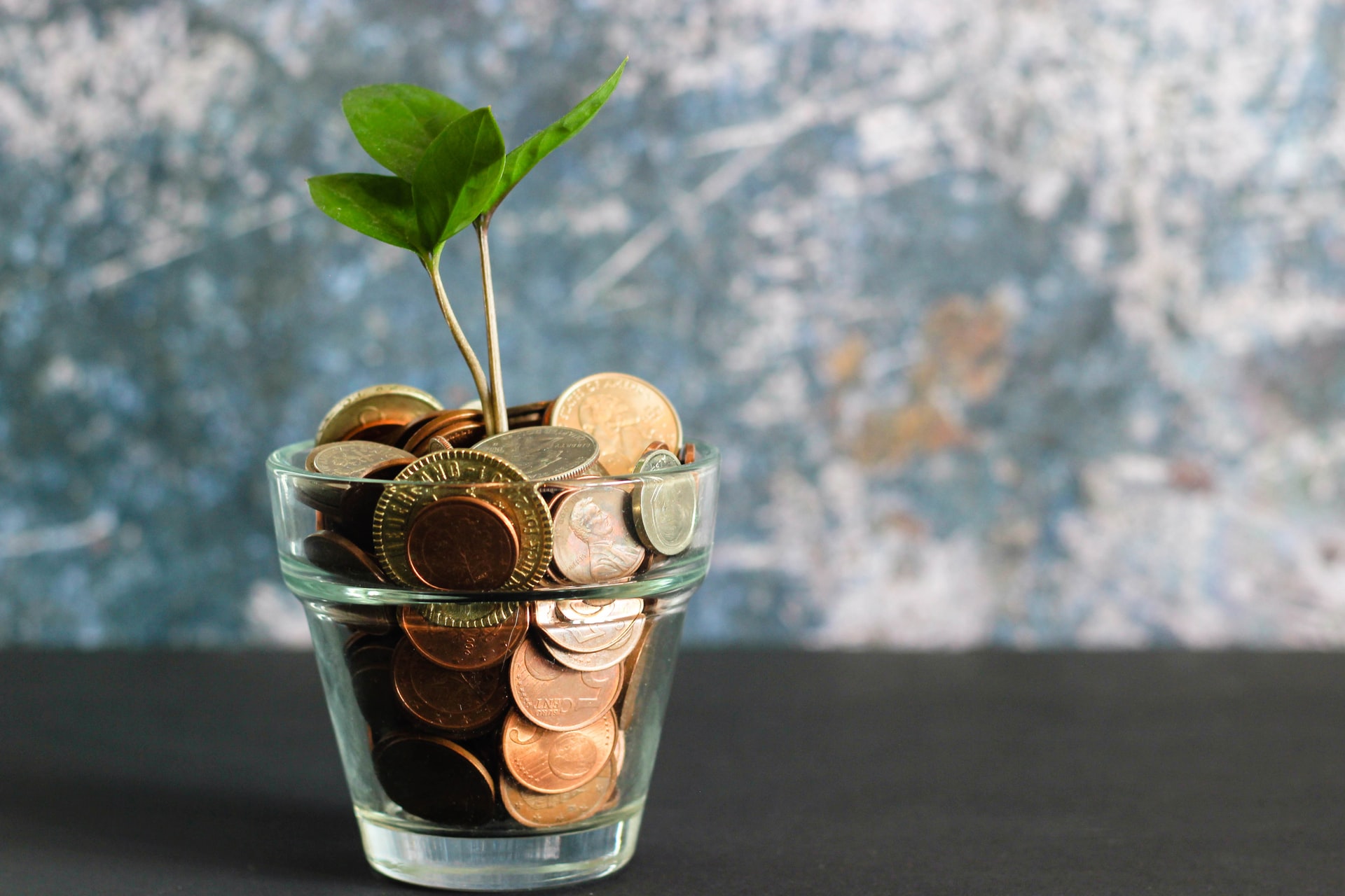 How to raise venture capital for your Green Business